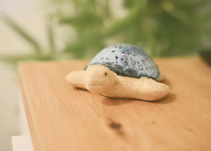 Urban Charme * Τεργέστη